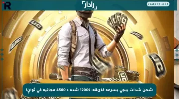 شحن شدات ببجي بسرعة فائقة: 12000 شدة + 4560 مجانية في ثوانٍ!